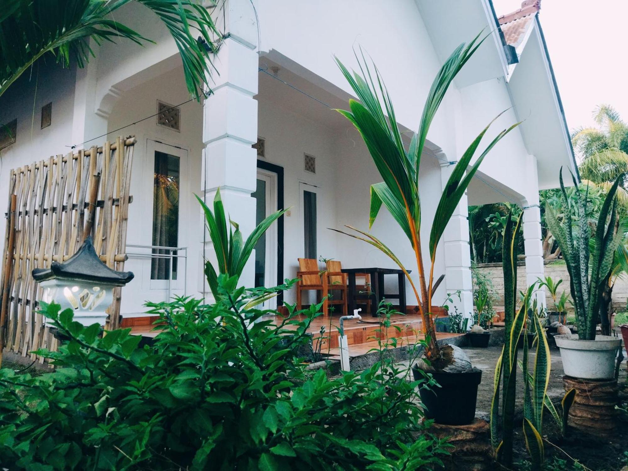 Balengku Homestay Gili Air Kültér fotó